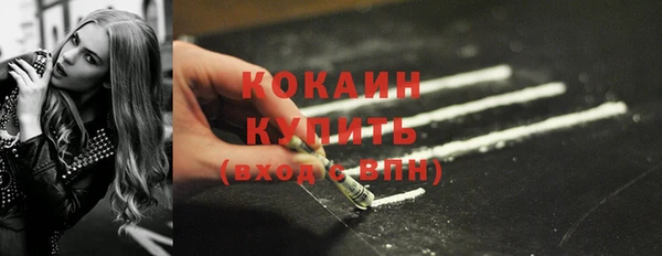 хмурый Инта