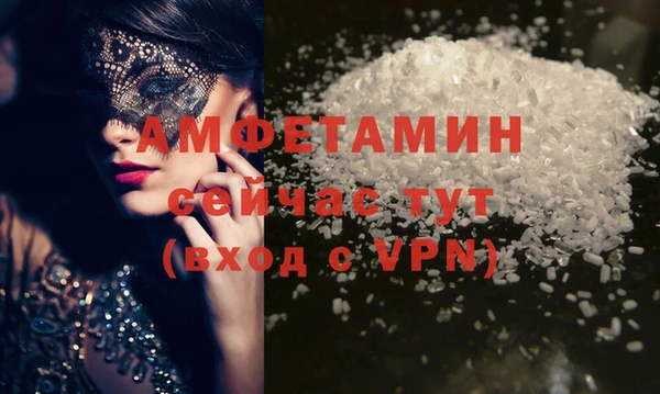 стаф Каменногорск