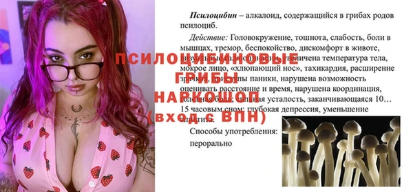 стаф Каменногорск