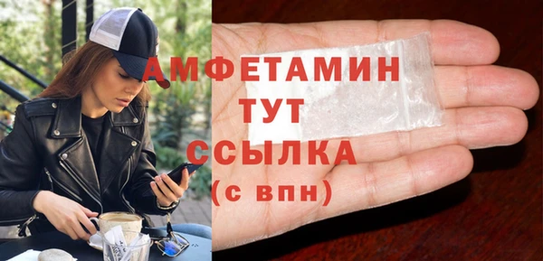 стаф Каменногорск