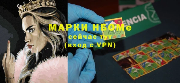 стаф Каменногорск